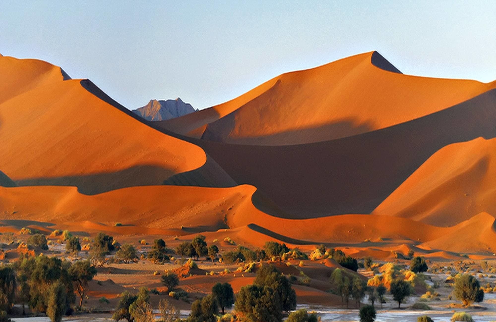 Voyage insolite en Namibie : une odyssée entre déserts et cultures - Dunes